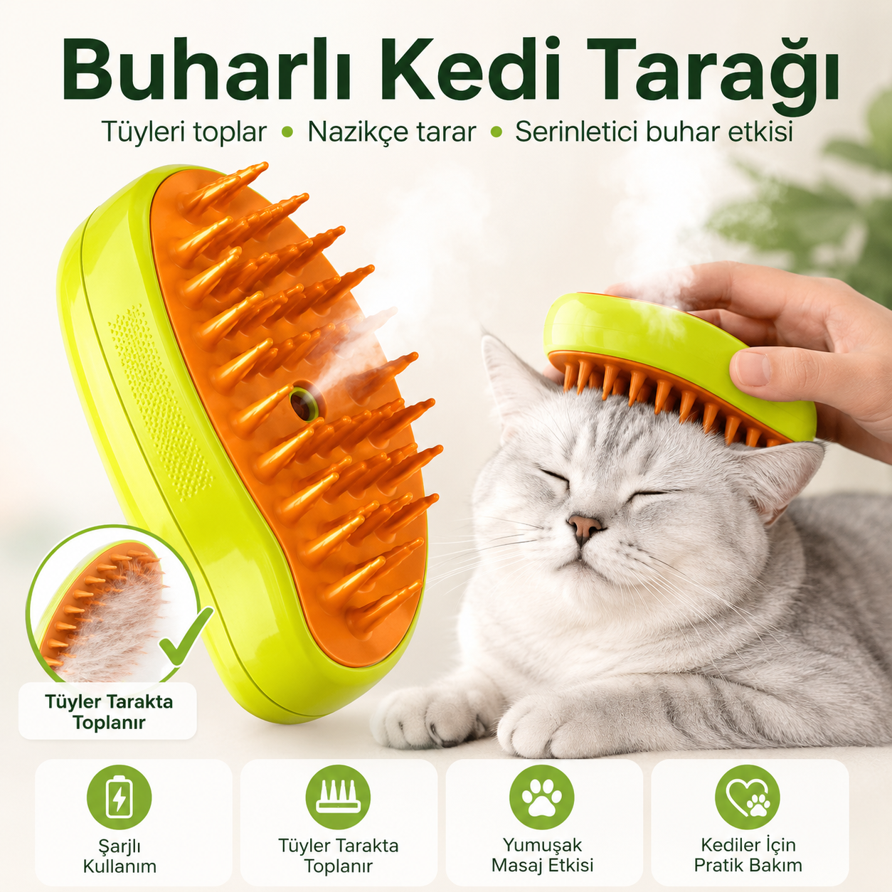 Buharlı Kedi Tarağı